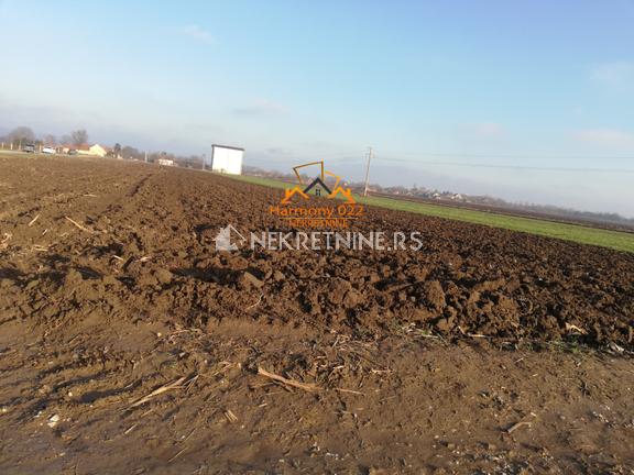 Zemljište površine 5204m2 za izgradnju poljoprivrednog gazdinstva-Beška