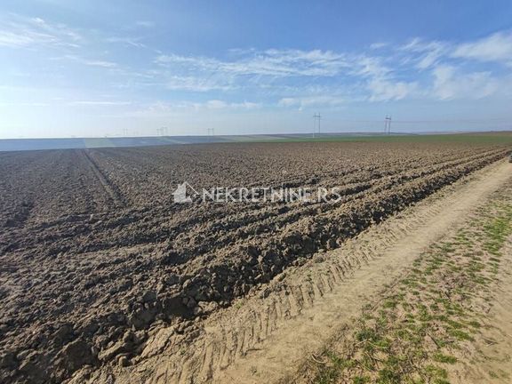 Poljoprivredno zemljište 4 hektara - Krčedin 