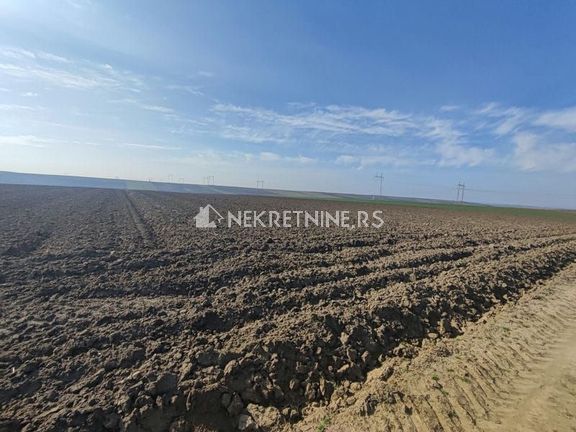 Poljoprivredno zemljište 4 hektara - Krčedin 