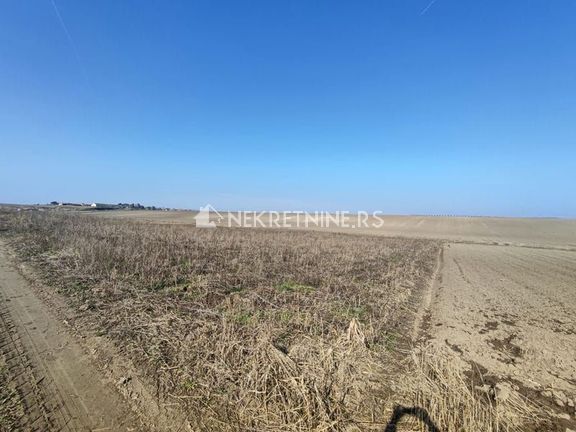 Poljoprivredno zemljište 2,1 hektar - Krčedin