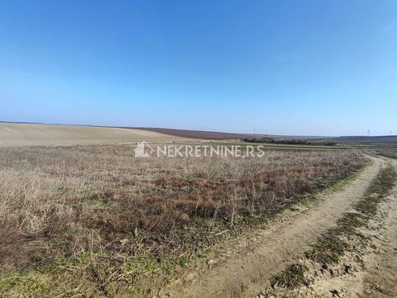 Poljoprivredno zemljište 2,1 hektar - Krčedin
